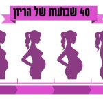 התפתחות העובר, השינויים בגופך ואיזה בדיקות עליך לעשות השבוע