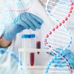בדיקות סקר גנטיות לפני הריון