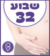 שבוע 32 להריון שבוע 32 להריון