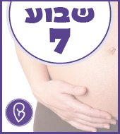 שבוע 7 להריון שבוע 7 להריון