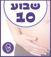 שבוע 10 להריון