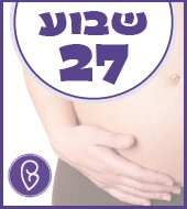 שבוע 27 להריון שבוע 27 להריון