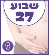 שבוע 27 להריון