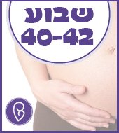 שבוע 40-42 להריון