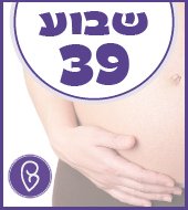 שבוע 39 להריון שבוע 39 להריון