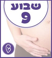 שבוע 9 להריון שבוע 9 להריון