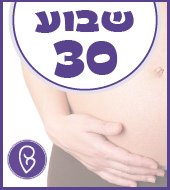 שבוע 30 להריון