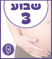 שבוע 3 להריון שבוע 3 להריון