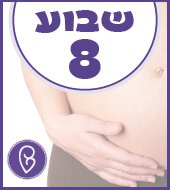 שבוע 8 להריון שבוע 8 להריון