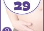 שבוע 29 להריון