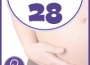 שבוע 28 להריון