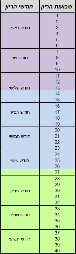 חודשי הריון לפי שבועות