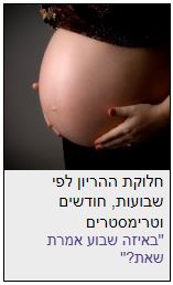 שבועות הריון לפי חודשים