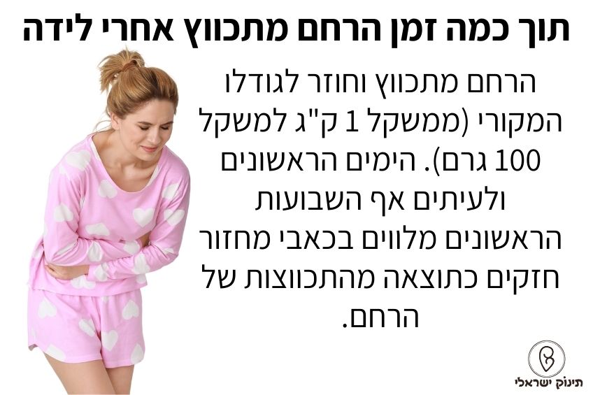 תוך כמה זמן הרחם מתכווץ אחרי לידה