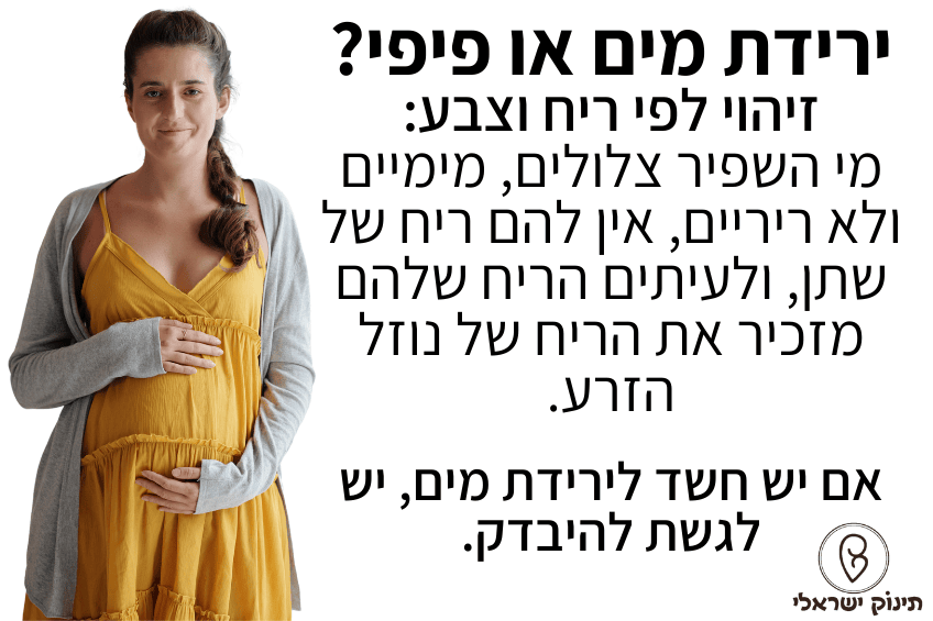 ירידת מים או פיפי ירידת מים או פיפי
