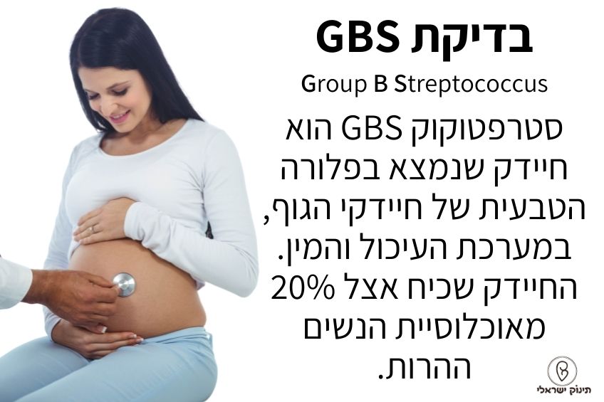 בדיקת gbs