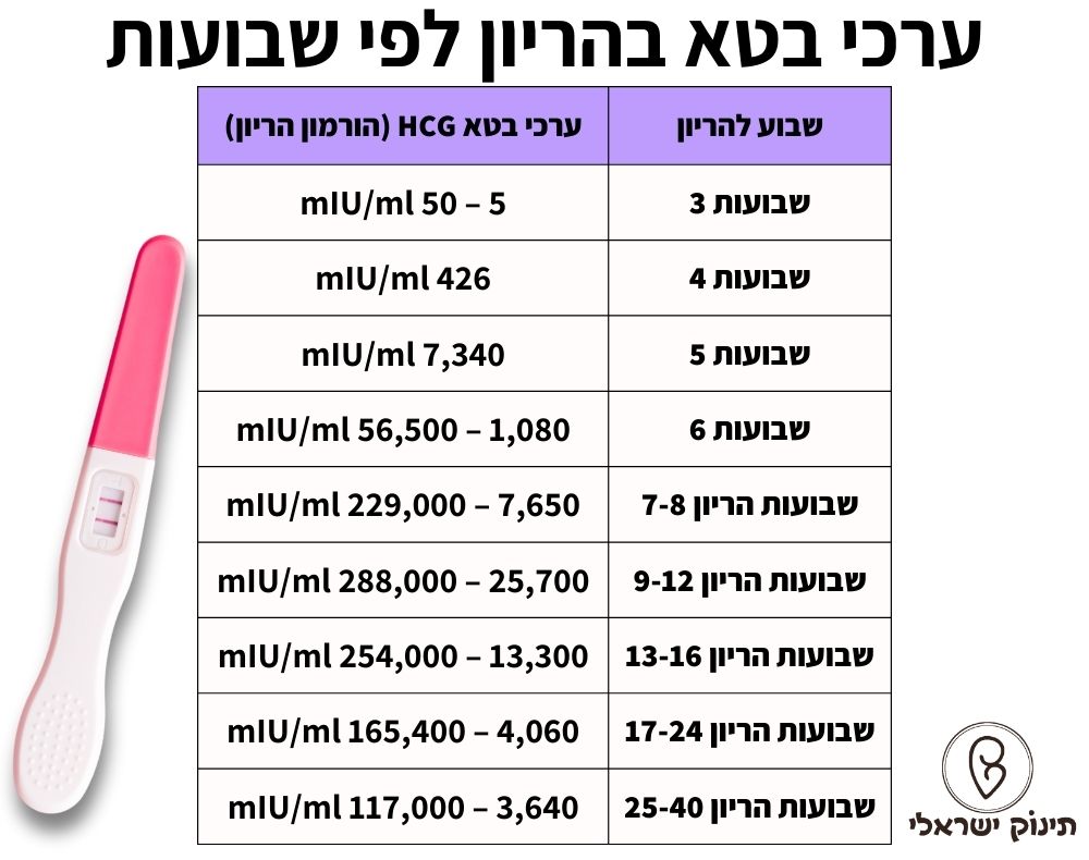 טבלת ערכי בטא
