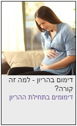 דימום השתרשות