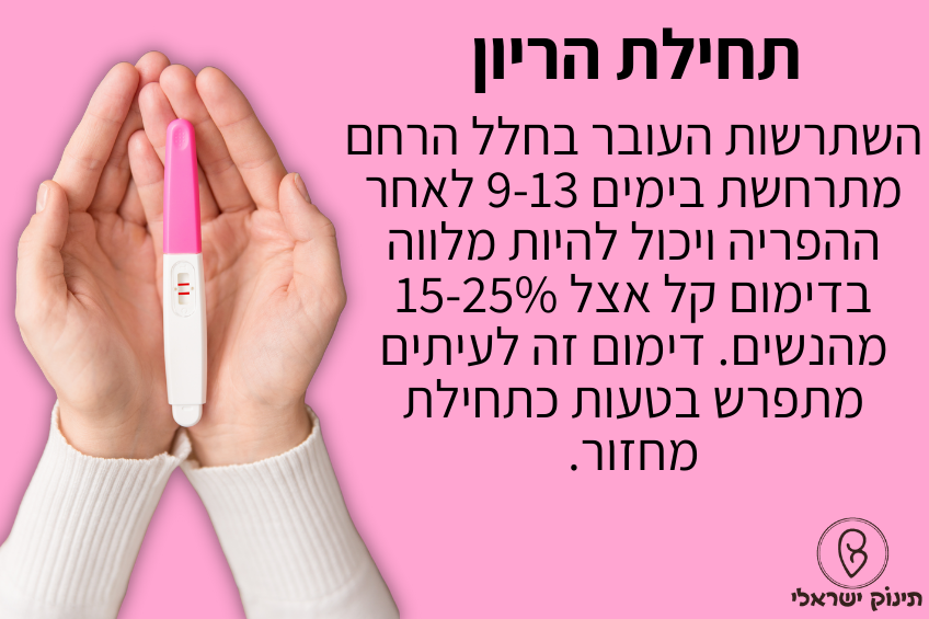 תחילת הריון