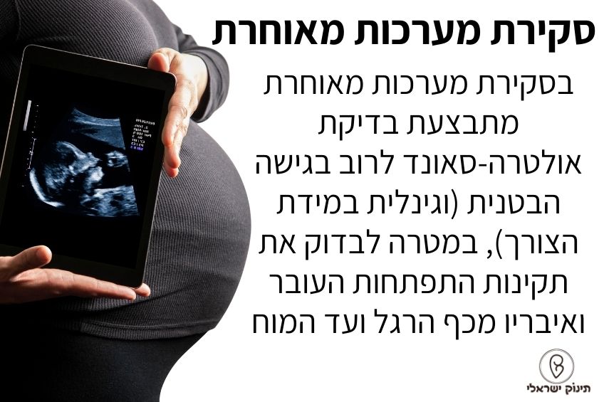 סקירה מאוחרת