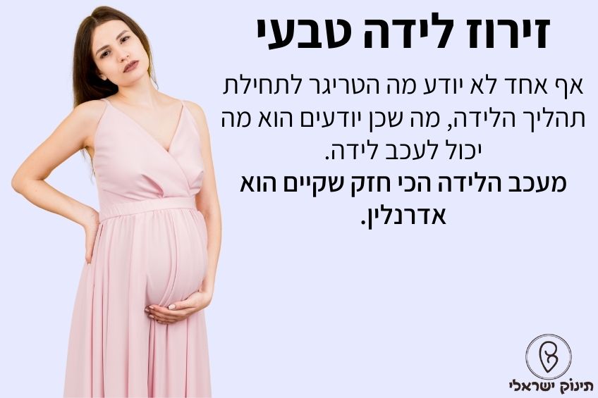 זירוז לידה טבעי