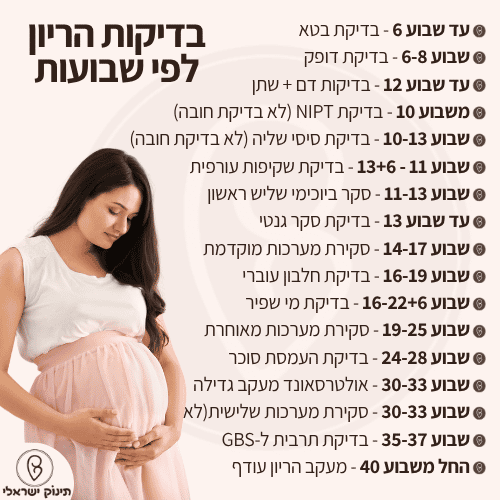 בדיקות הריון לפי שבועות